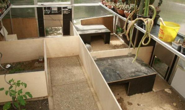 zuchtanl innen 5.JPG